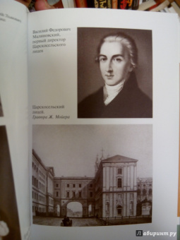 Владимир Новиков: Пушкин