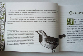 Арабо Саргсян: Викканский Оракул Теней. Заклинание Луны, ритуалы Солнца. Брошюра