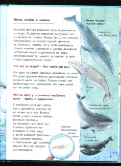 Фридерун Райхенштеттер: Дельфинчик и его морские соседи. Познавательные истории