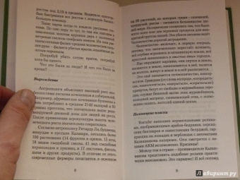 Павел Зарифуллин: Новые скифы. Статьи, эссе