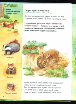 Фридерун Райхенштеттер: Как живут кролики и зайцы. Познавательные истории