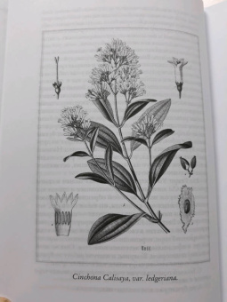 Элизабет Гилберт: Происхождение всех вещей