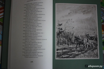Николай Некрасов: Избранные произведения. Стихотворения и поэмы