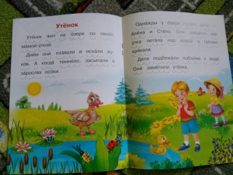 Ирина Шестакова: Как Мишутка помог белке