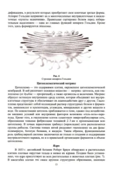 Евгений Музафаров: Биотехнология.Основы биологии.Учебное пособие для вузов