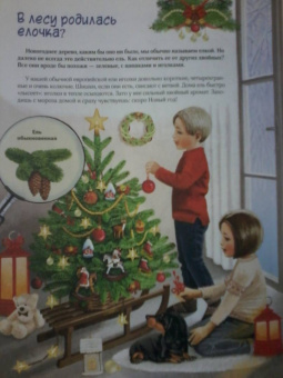 Юлия Смирнова: Природа в городе