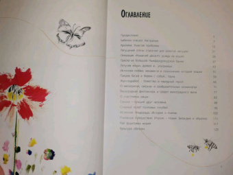 Джанумберто Аччинелли: Эффект домино. Невидимые нити природы