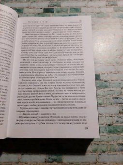 Роберт Джордан: Колесо Времени. Книга 7. Корона мечей