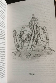 Ирина Котова: Королевская кровь. Расколотый мир