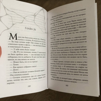 Катарина Херцог: Фэй. Сердце из лавы и света