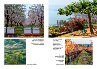 Питер Мейл: Прованс навсегда