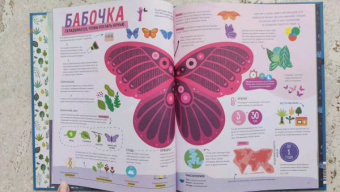 Пинтос, Ианнуззи: Как спит пчела? Удивительные факты о животных и их суперспособностях