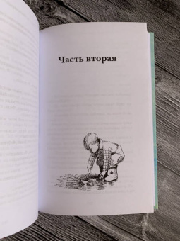 Александра Николаенко: Небесный почтальон Федя Булкин