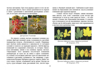 Ковешников, Силаева, Ковешников: Колористика в садово-парковом и ландшафтном строительстве. Учебное пособие