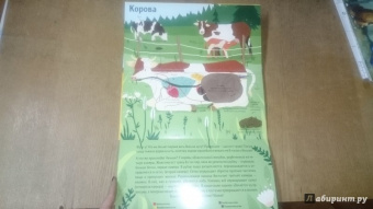 Боманн, Дюпон: Животные снаружи и внутри