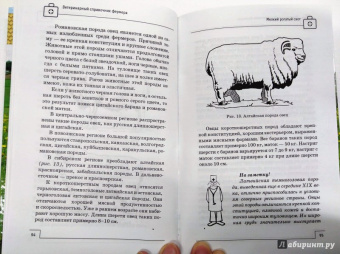 Л. Моисеенко: Ветеринарный справочник фермера