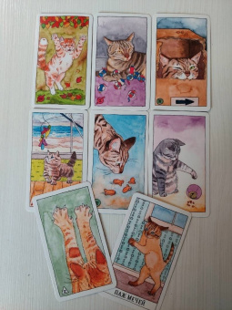 Котт Линн: Cat Tarot. Таро Котиков, 78 карт и руководство в подарочном футляре