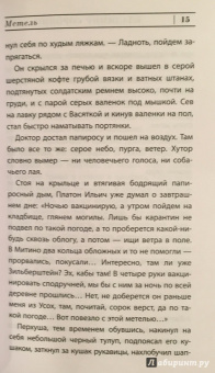 Владимир Сорокин: Метель