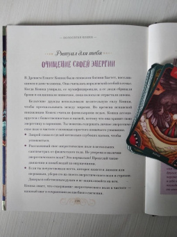 Майя Толл: Магический бестиарий. Вдохновляющие послания и ритуалы от 36 волшебных животных 36 карт и книга