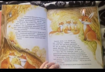 Сергей Духин: Приключения лисёнка Джимми. Маленький храбрец