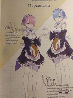 Таппэй Нагацуки: Re: Zero. Жизнь с нуля в альтернативном мире. Том 2. Ранобэ
