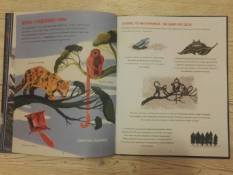 Сангма Фрэнсис: Эверест