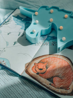 Галина Гордиенко: Как на землю пришли сны