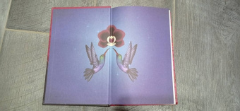 Зорайда Кордова: Наследие Божественной Орхидеи