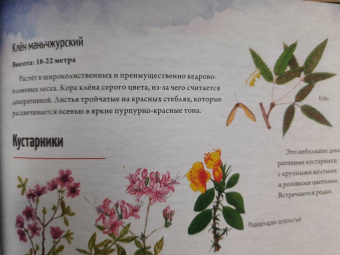Евгения Валягина-Малютина: Природа России. От Арктики до пустыни. Моё первое путешествие