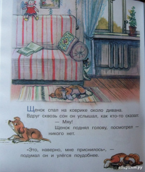 Владимир Сутеев: Загадочные истории