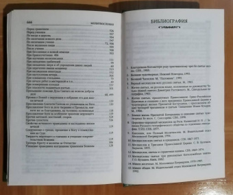 Таисия Олейникова: Святые, коим Господь даровал особую благодать исцелять болезни и подавать помощь в других нуждах