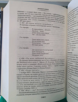 Марина Цветаева: Волшебный фонарь