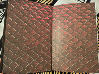 Терри Пратчетт: Стража! Стража! Подарочное издание с иллюстрациями Пола Кидби