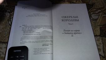 Александр Дюма: Ожерелье королевы. Том 2