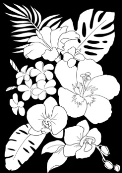 Раскраска ВОЛШЕБНЫЙ ЧЕРНЫЙ. ЦВЕТЫ И УЗОРЫ (Р-5489)