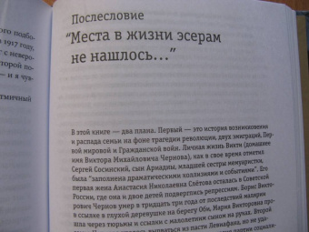 Ольга Чернова-Андреева: Холодная весна. Годы изгнаний:  1907–1921
