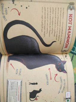 Фраска, Маркони: Мифические существа. Путешествие в поисках легендарных монстров