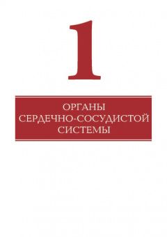 Елена Борхунова: Частная гистология. Интегрирующие системы. Методика изучения препаратов. Учебно-методическое пособие