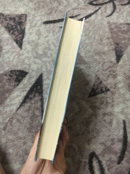 Сергей Минаев: Дневник одинокого копирайтера, или Media Sapiens