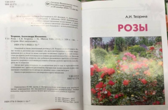 Александра Теорина: Розы. Моё увлечение