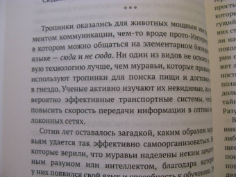 Роберт Мур: Следы и тропы. Путешествие по дорогам жизни