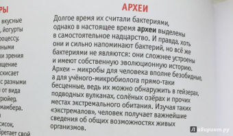 Флоранс Пино: Тайная война микробов