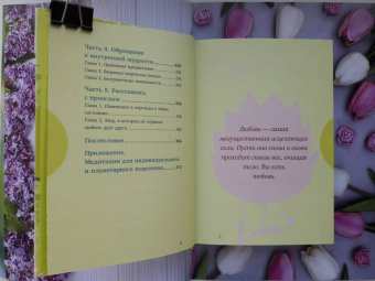 Луиза Хей: Исцеляющая сила мысли (подарочное оформление)