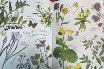 Николай Сладков: Лесные сказки