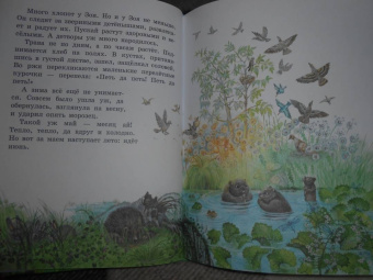 Виталий Бианки: Сказки о солнечных зайчиках