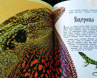 Бен Хоар: Чудеса природы. Энциклопедия