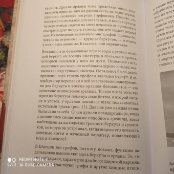 Клайв Финлейсон: Умный неандерталец. Охота на птиц, пещерное искусство и когнитивная революция