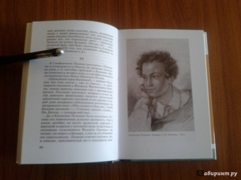 Владимир Новиков: Пушкин