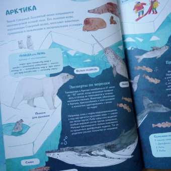 Амандин Тома: Через океаны