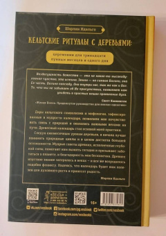Шарлин Идальго: Кельтские ритуалы с деревьями. Церемонии для тринадцати лунных месяцев и одного дня